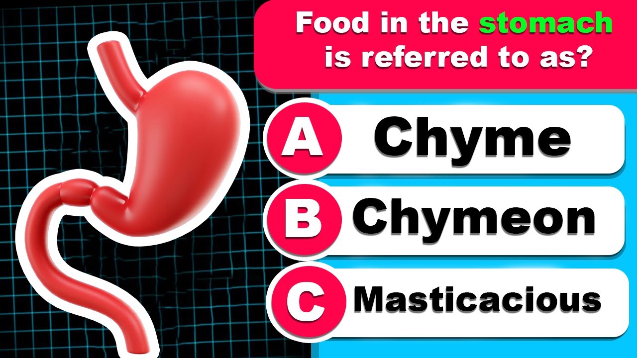 How Many Can You Get Right? 🎯 The Ultimate 30-Question General Knowledge Quiz! 🧠