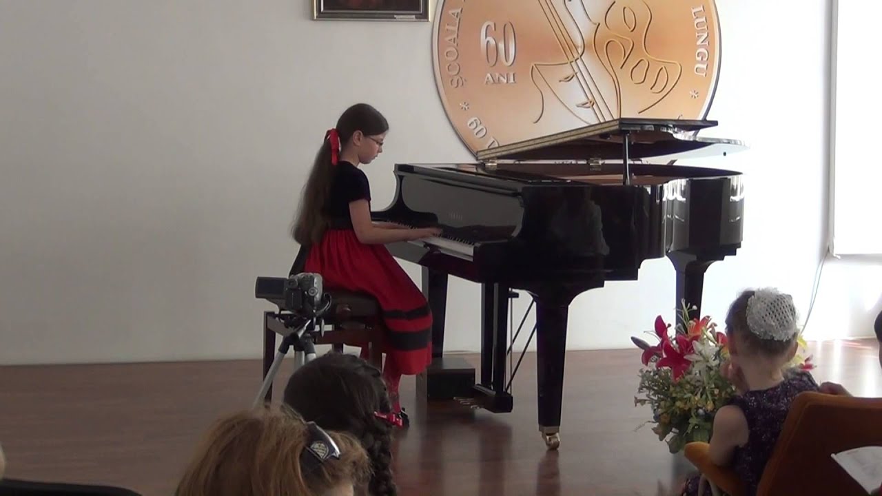 Virtuozii editia a 5-a , BRAILA, 2013