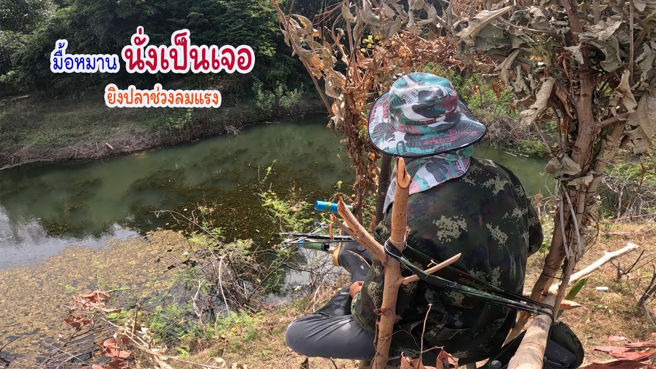 ผัดเผ็ดปลาชะโดแม่บ้านจัดให้ ออกหมายมื้อลมแรงก็ยังหมาน
