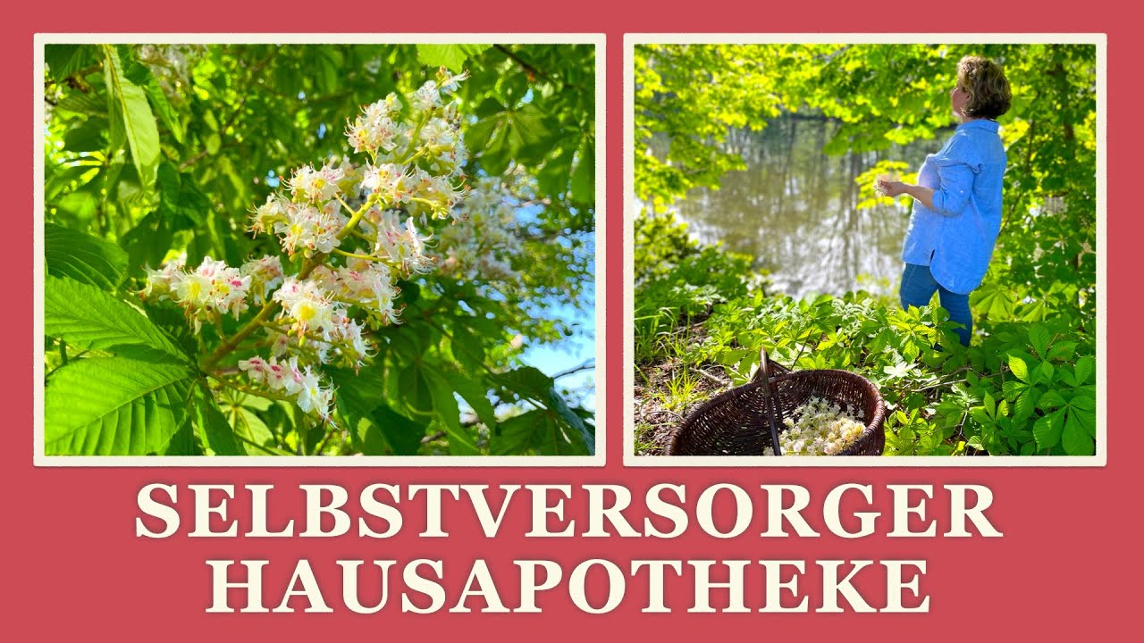 #38 Selbstversorger Hausapotheke im Mai, Teekräuter sammeln, Kastanienblüten, Weißdorn