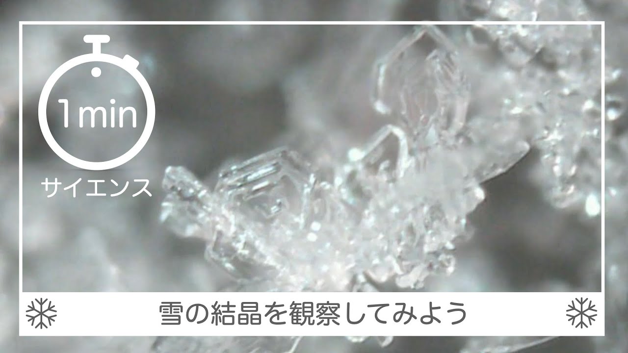 1minサイエンス 雪の結晶を観察しよう