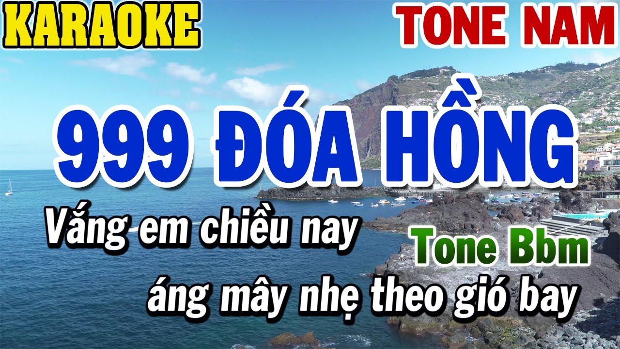 Karaoke 999 Đóa Hồng Tone Nam | Karaoke Beat Mới | 84
