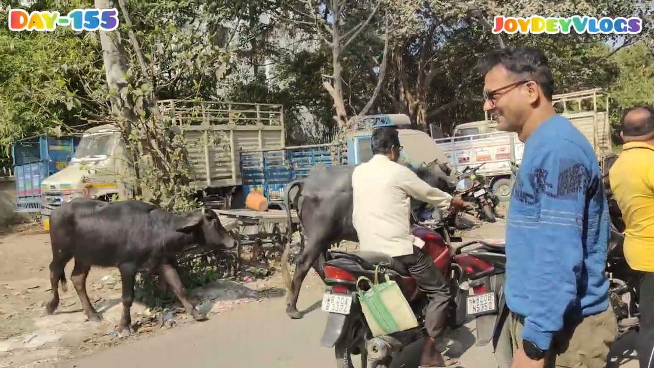 Day-155 | রবিবারের দিনটা অদ্ভুত 😮 Shopping, Accident News & Food🤓