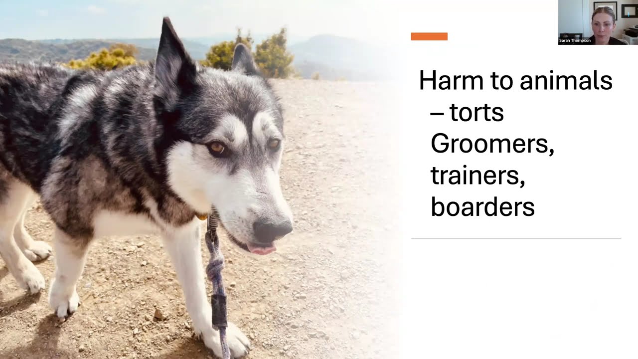 Sarah A. Thompson. Esq.: Private Practice as an Animal Lawyer