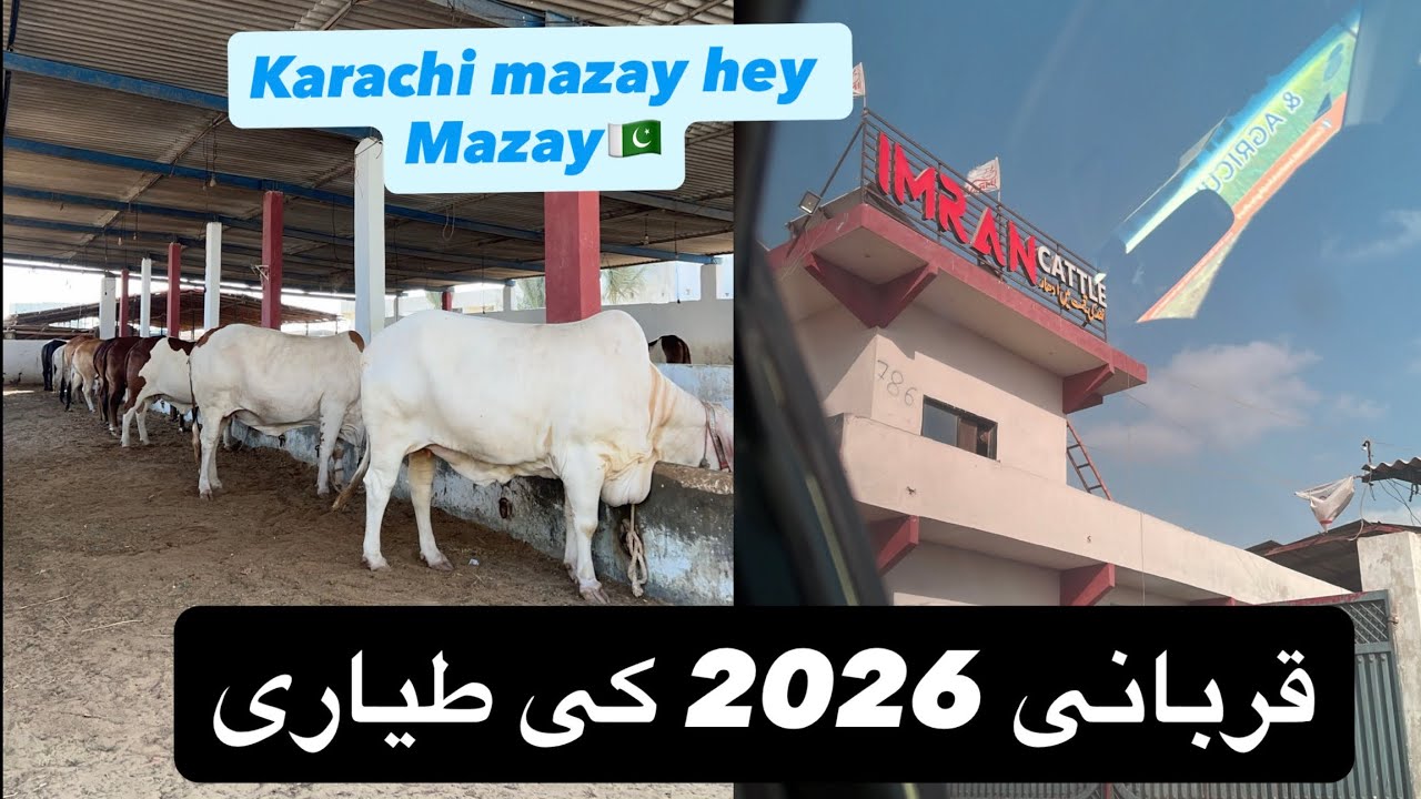 Karachi mazay hey Mazay🇵🇰🇵🇰 | قربانی 2026 کی طیاری | By QISMAT PARDESI
