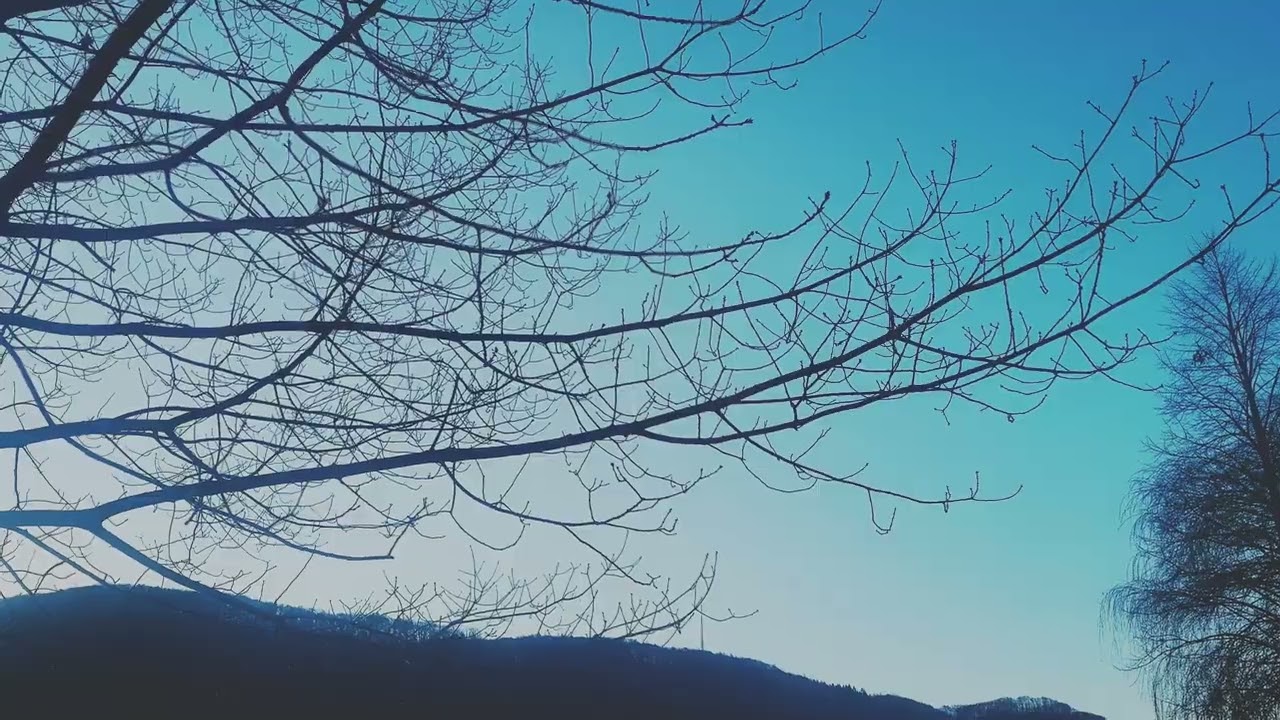 Lahnstein  💙