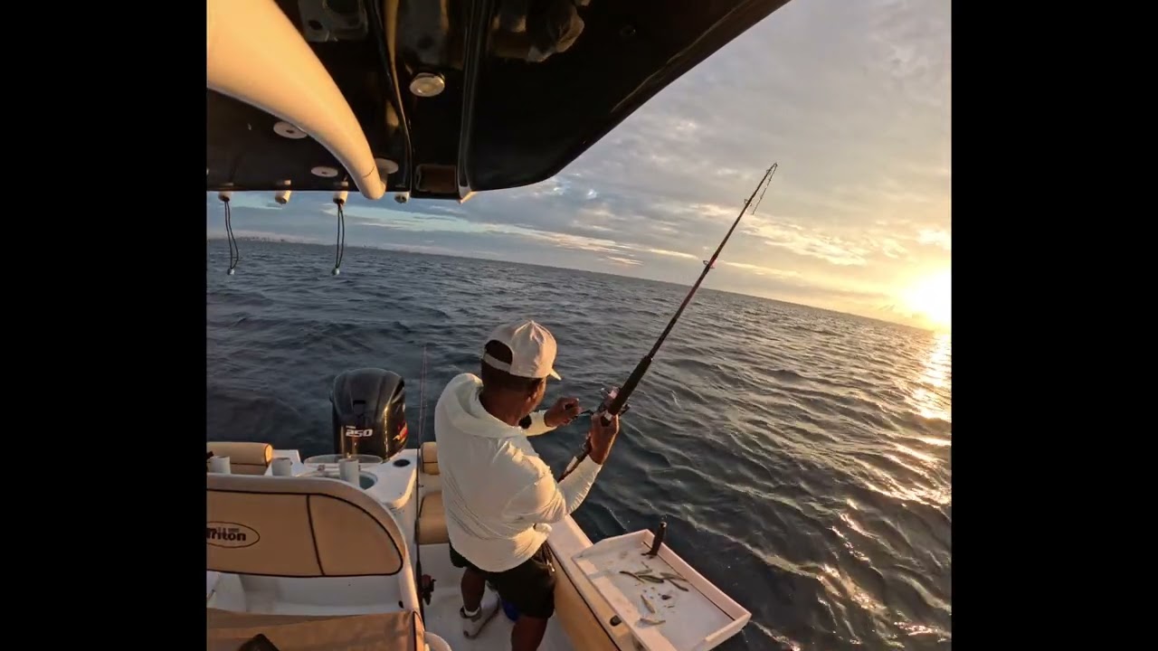 Caught my limit in Yellow Tail Snapper before 8AM! | Fish with Vince
