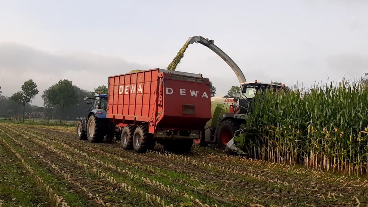Mais Hakselen/ loonbedrijf oldenhof/ newholland t7 170/dewa/ Claas jaguar 930