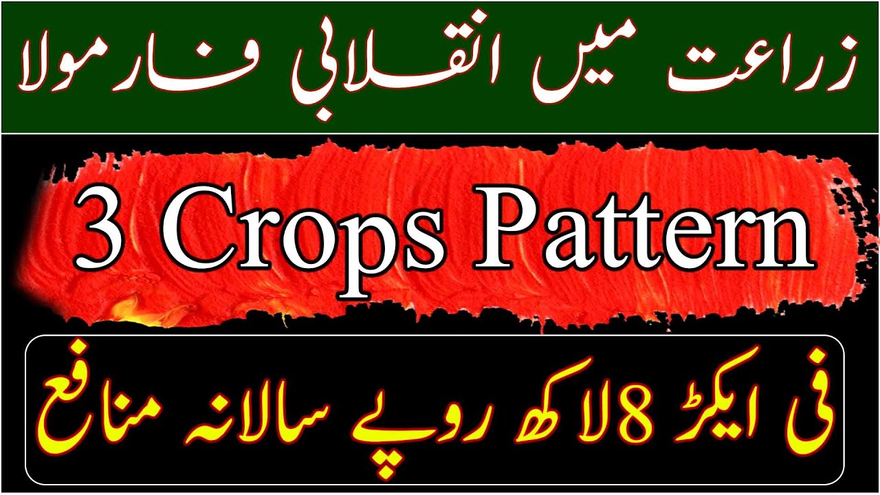 3 crops pattern|How to sow 3 crop in a year|Profitable agriculture model|ایک ایکڑ سے آٹھ لاکھ کمائیں