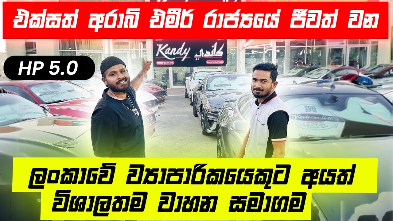 රුපියල් 4000 පඩියක් ඇති හොඳටම (MUSTANG) එකක් ගන්න ඕන කරන Document | Dilo Views @Kandycars_uae