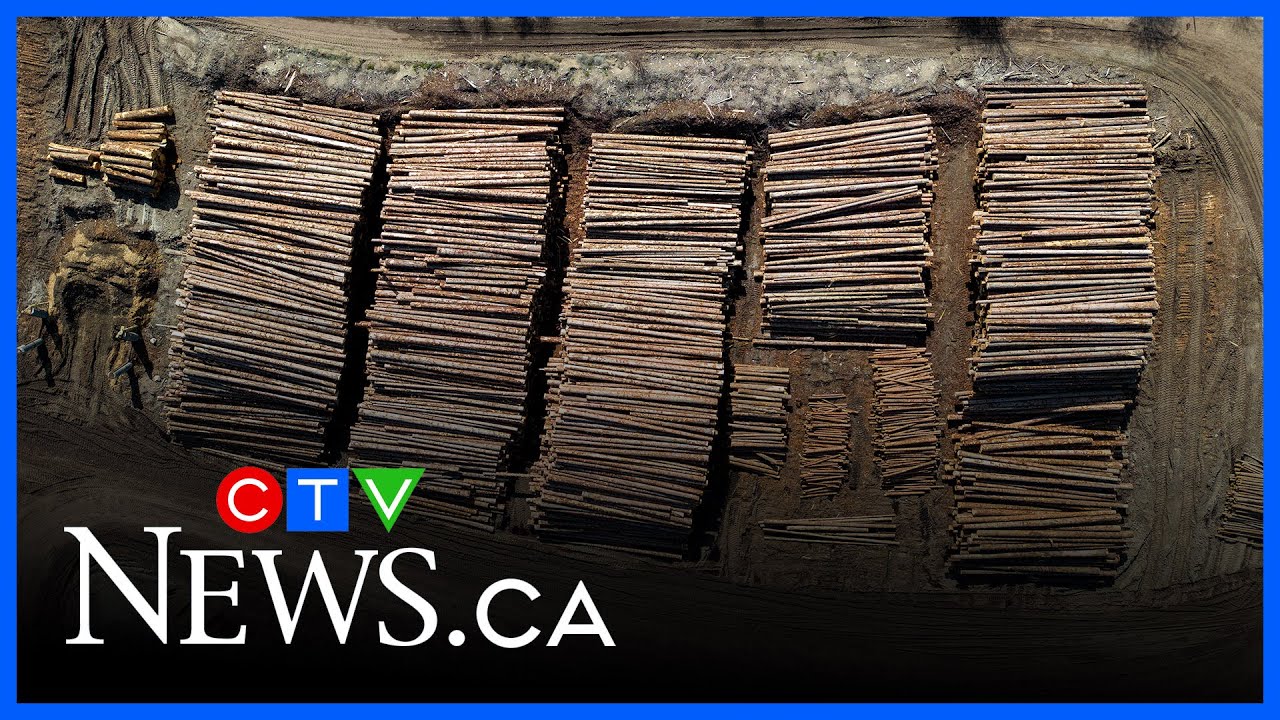 Tariffs on softwood lumber is a ‘lose-lose game’ for both Canada, U.S.