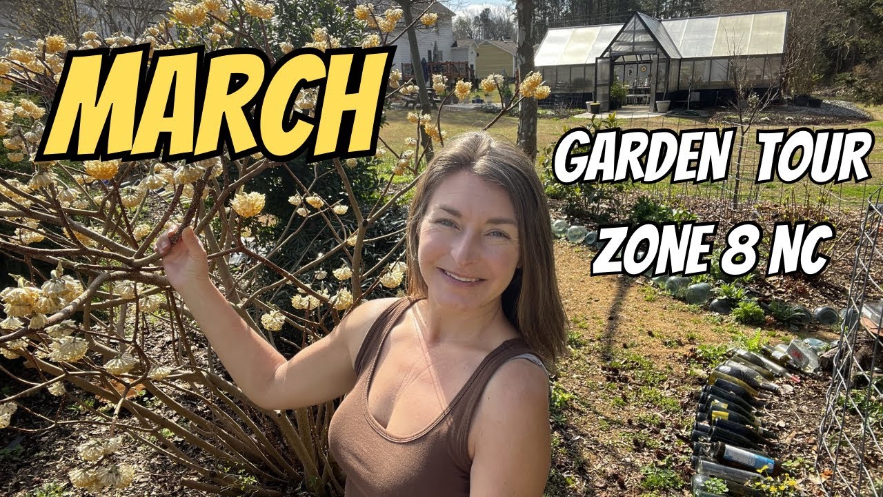 Mid March Garden Tour zone 8 