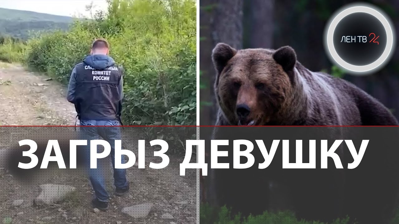 Медведь загрыз девушку в Магадане | Её подруге удалось спастись