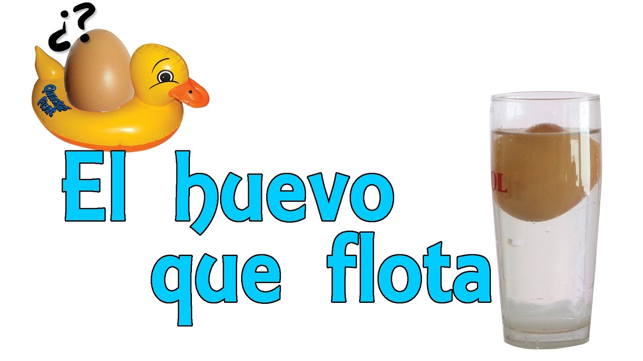 El huevo que flota (Experimentos Caseros)