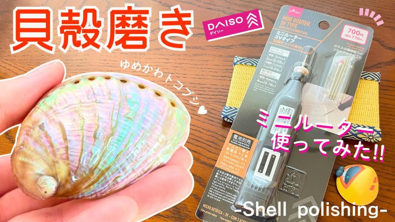 DAISOミニルーターを使って海で拾ったトコブシを虹色になるまで磨いてみた🐚🌈🔨【貝殻磨き】