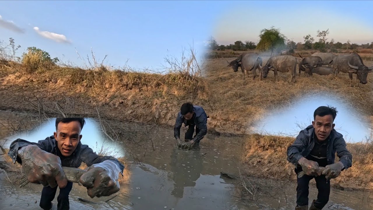 ได้ปลาค้อแล้ว//ໄດ້ປາຄໍ້ແລ້ວ1 กุมภาพันธ์ ค.ศ. 2026