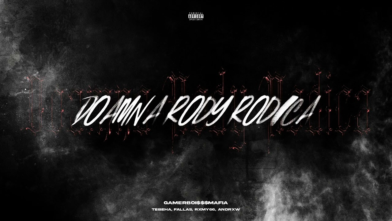 GAMERBOI$$$MAFIA (Tebeha, Fallas, Rxmy66, Andrxw) - Doamna Rody Rodica