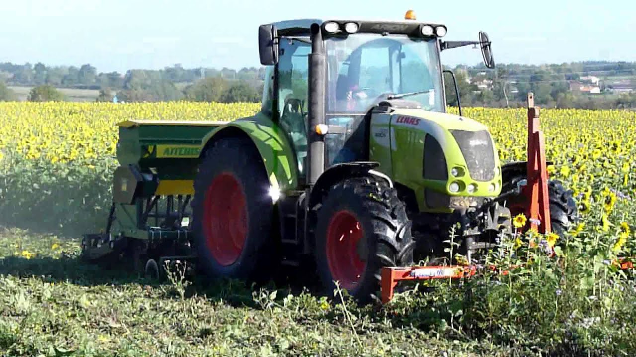 Cover Crops & T SEM