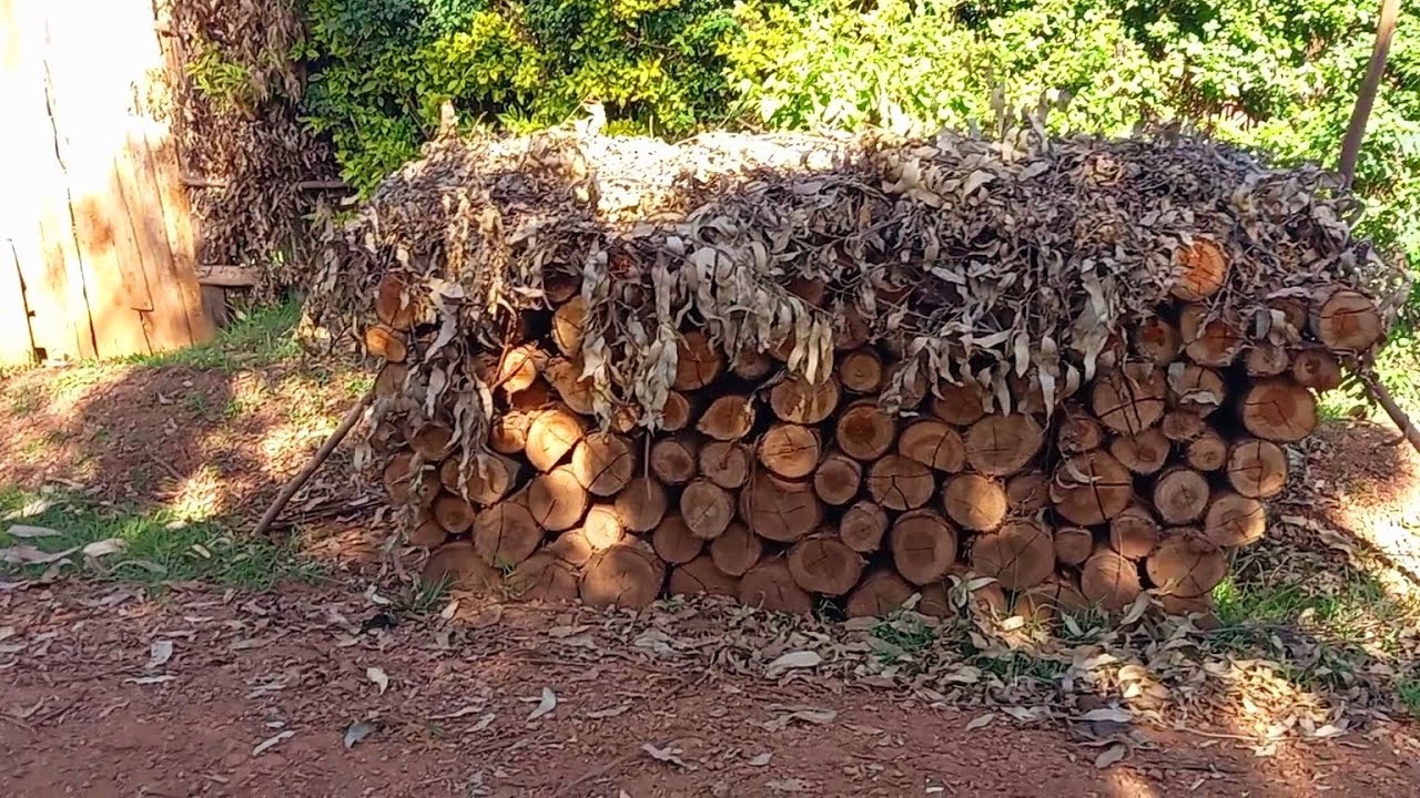 GOOD or BAD NEWS| Between the two which One comes First? Hiking Time and you Better Watch This.