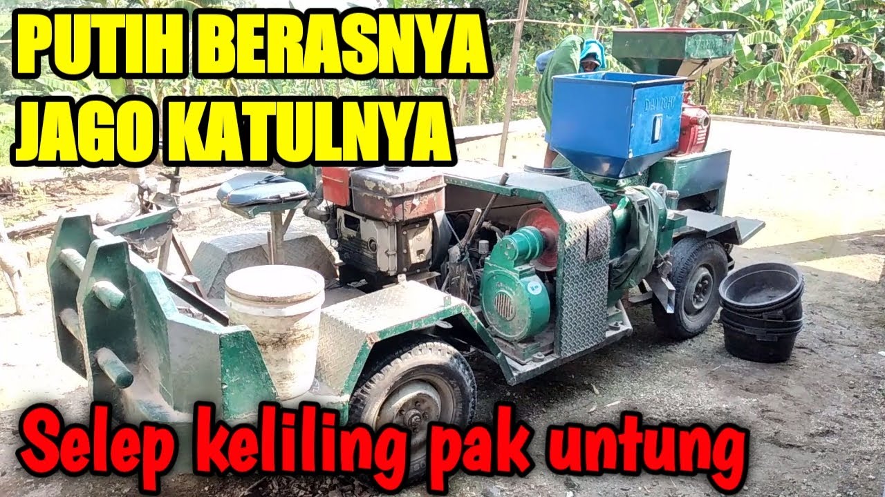 Selep padi keliling laris sampai masuk plosok sawah
