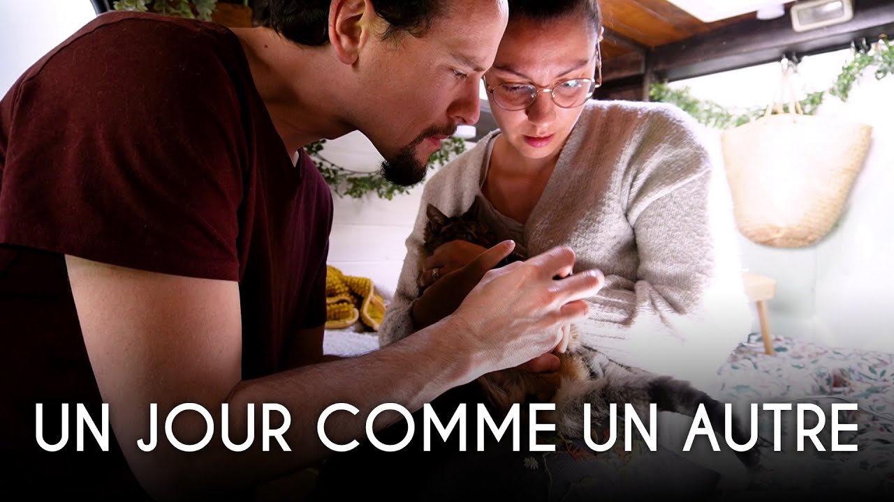 Péripéties avec nos chats, balade, boulot... Une journée banale avec nous en fourgon aménagé !