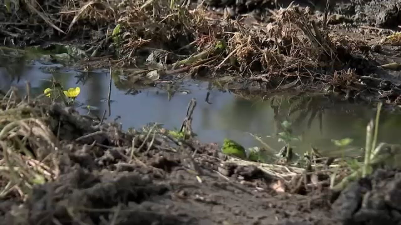 Fecal fight brewing in League City as county goes after septic tank owner