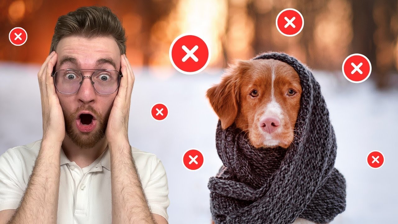5 Fehler im Winter für Hunde‼️❄️😕