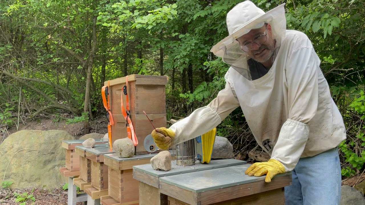 Why I am Finding 5 Frame Nucs so Helpful in  Swarm Catching and Over Wintering Catches In Them Also
