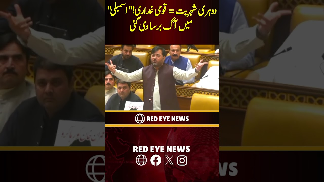 Heated Assembly Debate on Dual Nationality, 