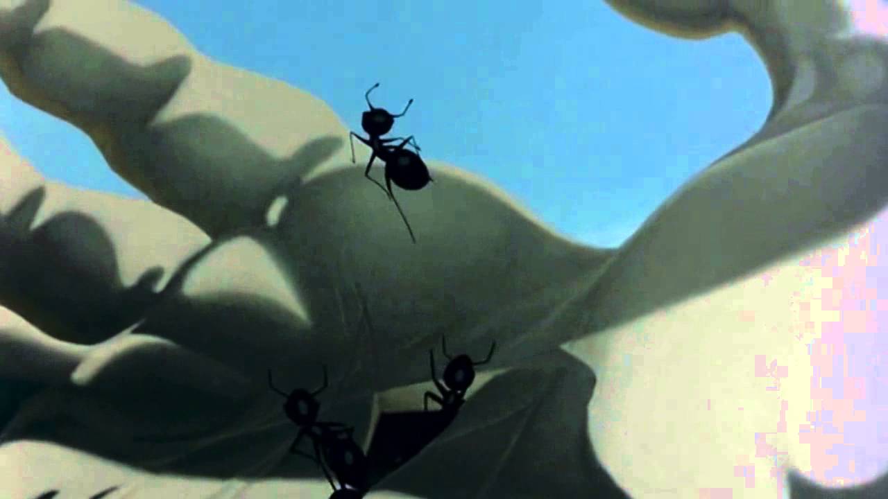 Les Big Byrd - Vi Borde Prata Men Det Är För Sent (HD)