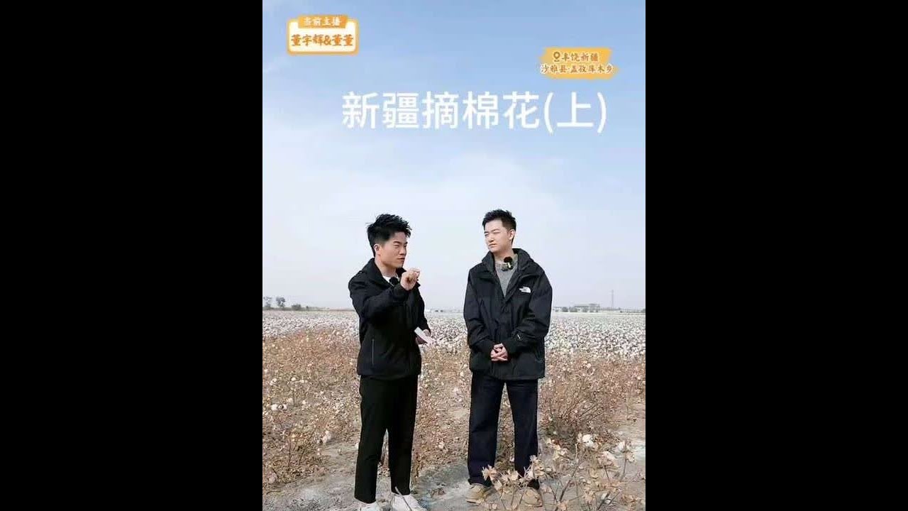 董宇辉带大家来新疆摘棉花
