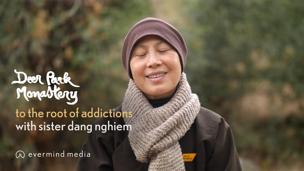 To the Root of Addictions: with Sister Dang Nghiem