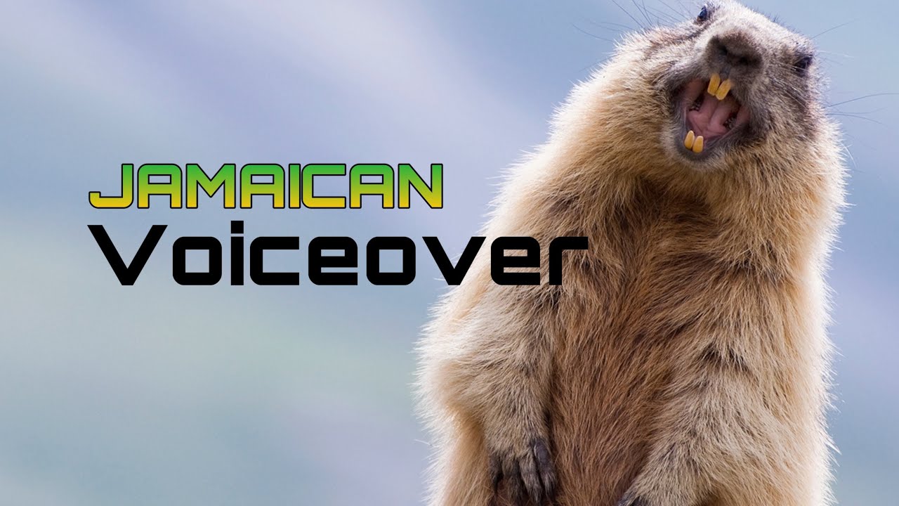 Jamaican Voiceover #12