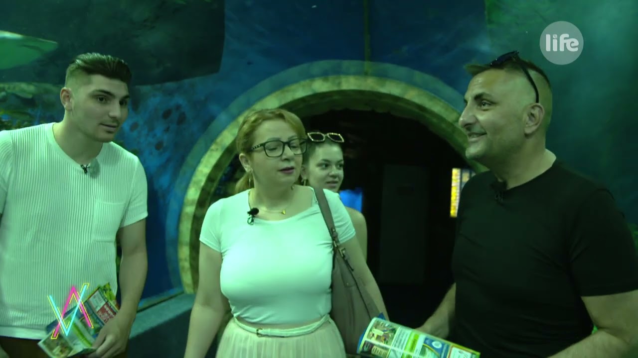 A Gáspár család végre eljut a nyíregyházi állatkertbe. Győzike: 