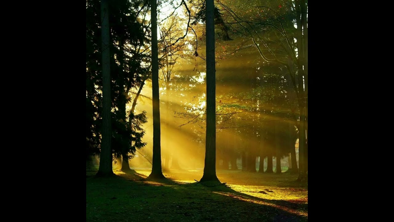 Vlad Volison - Touch The Light
