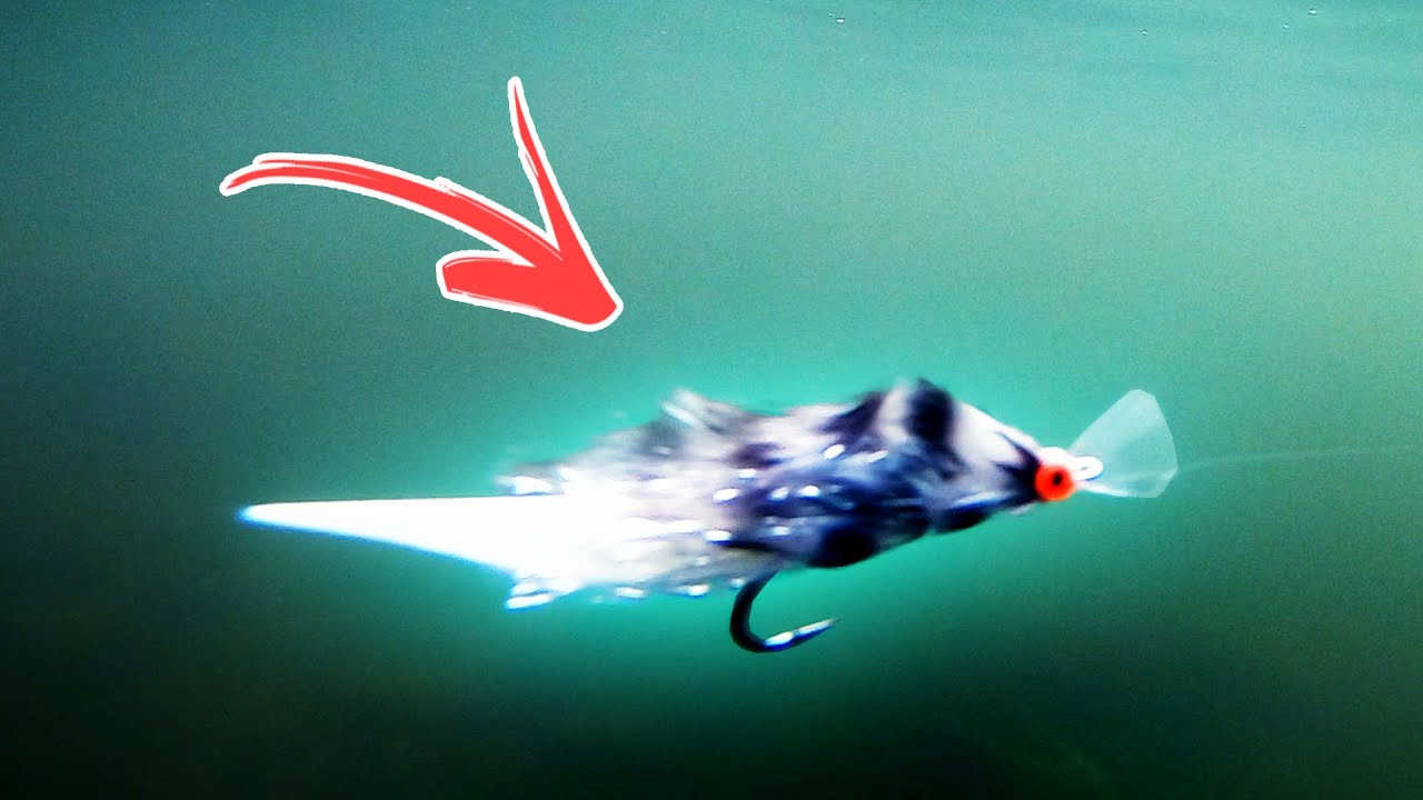 FLY TYING: Articulated Streamer 🔥 (Wiggle Minnow by Daniel Bergman)