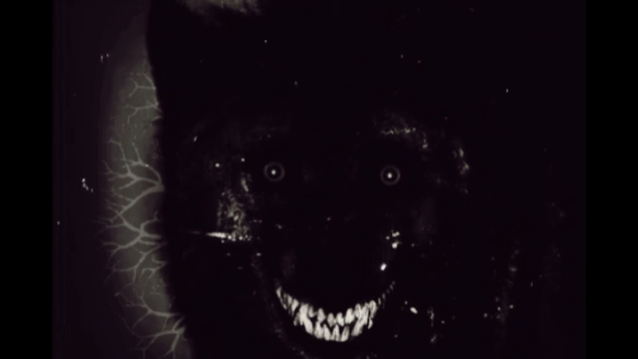 GRAY 13 - Smile Dog | Official Audio