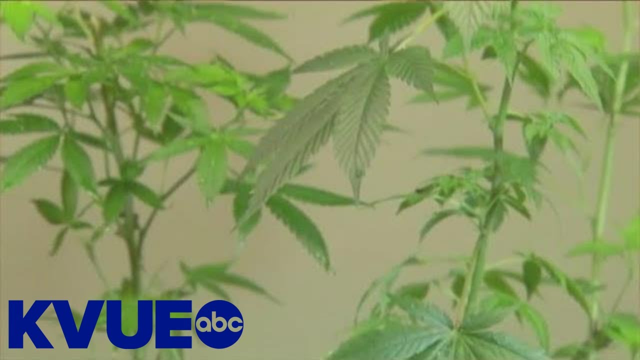 Medical marijuana brand 'goodblend' opens first retail location in Austin | KVUE