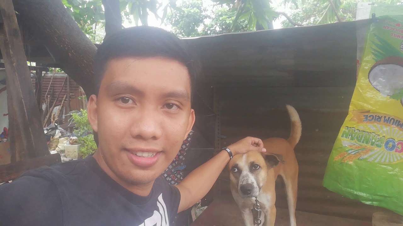 NILIBOT KO ANG MUNTING MANUKAN AT TINIGNAN KO ANG MGA ALAGA KONG MGA MANOK 