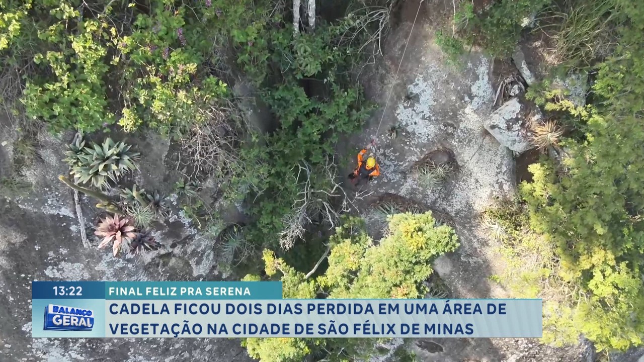 São Félix de Minas: Cadela é encontrada após dois dias perdida.