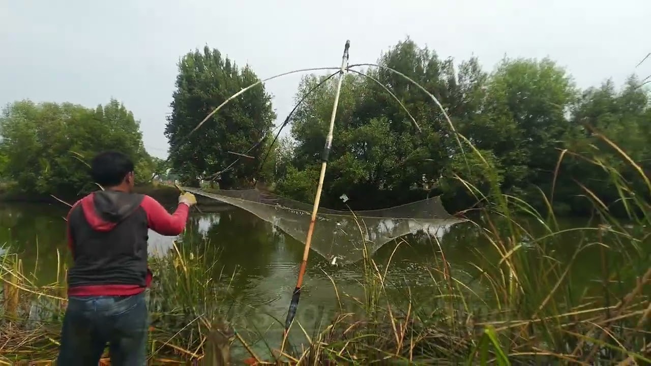 Nganco/branjang ikan di muara #branjang #fishing #ngancoikan #ancomania #tangkapikan #bandrongikan