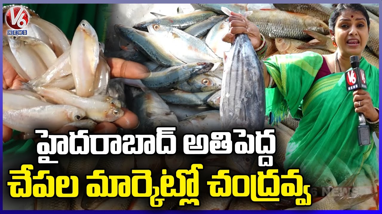 Ram Nagar Fish Market | Wholesale Fish Market In Hyderabad | Teenmaar Chandravva | V6 News