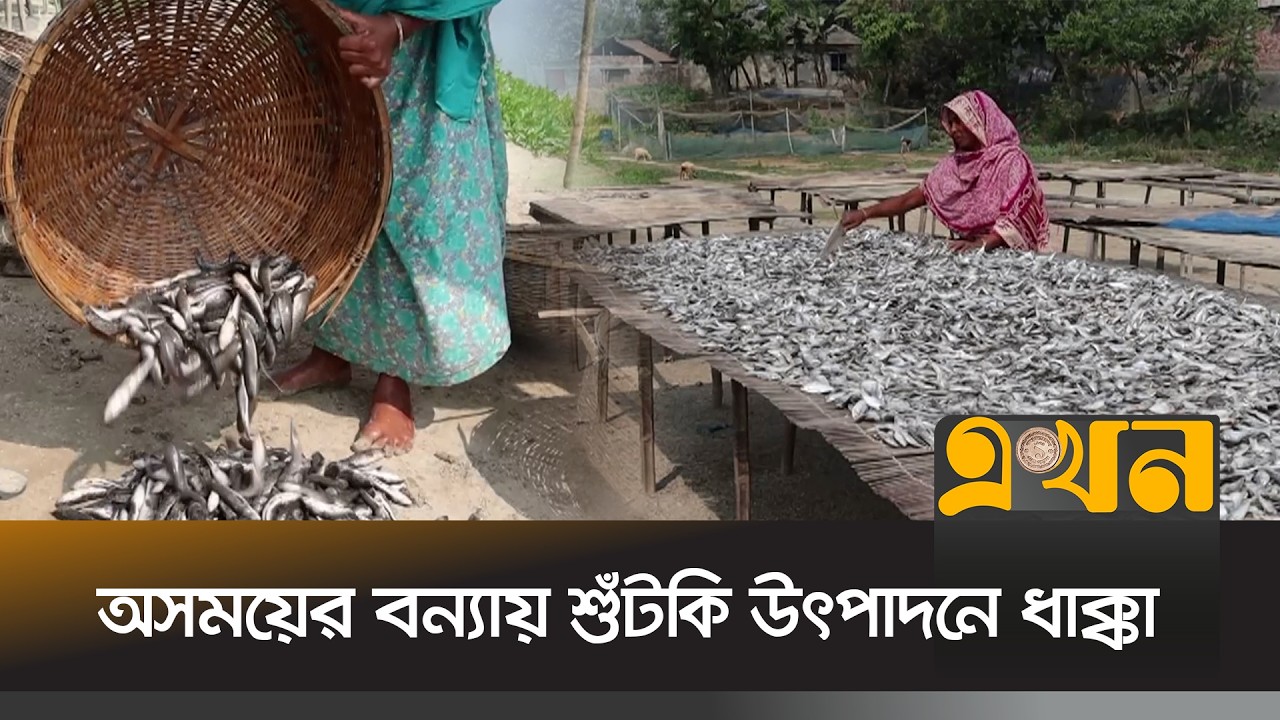 রপ্তানি বন্ধে লোকসানের মুখে আত্রাইয়ের শুঁটকি শিল্প | Naogaon News | Dry Fish Industry | Ekhon TV