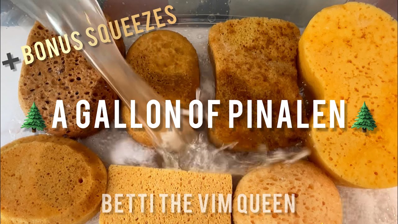 🌲Gallon of Pinalen🌲➕Pinalen Rain➕Bonus Squeezes💕ASMR Sponge Squeezing💕