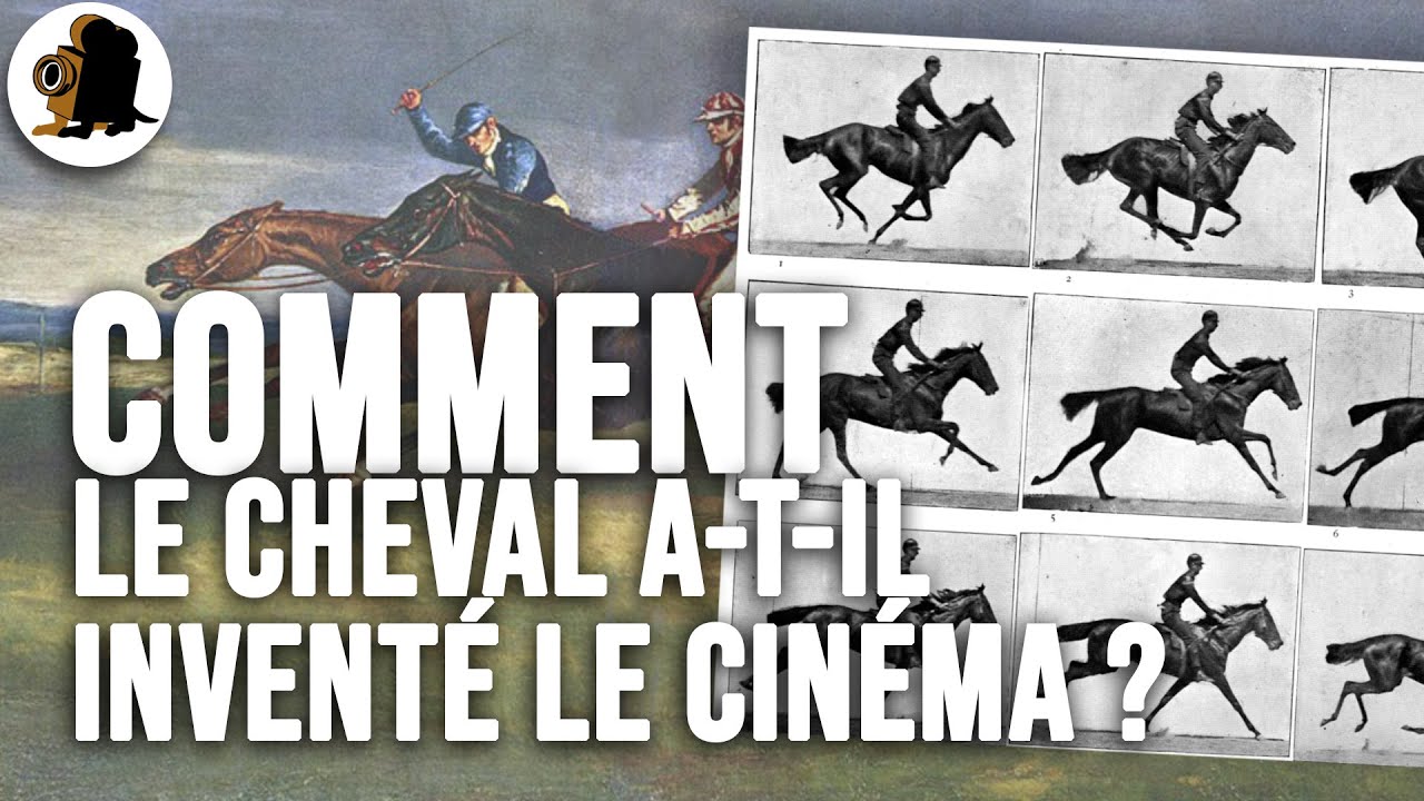 Le cheval a INVENTÉ le cinéma !