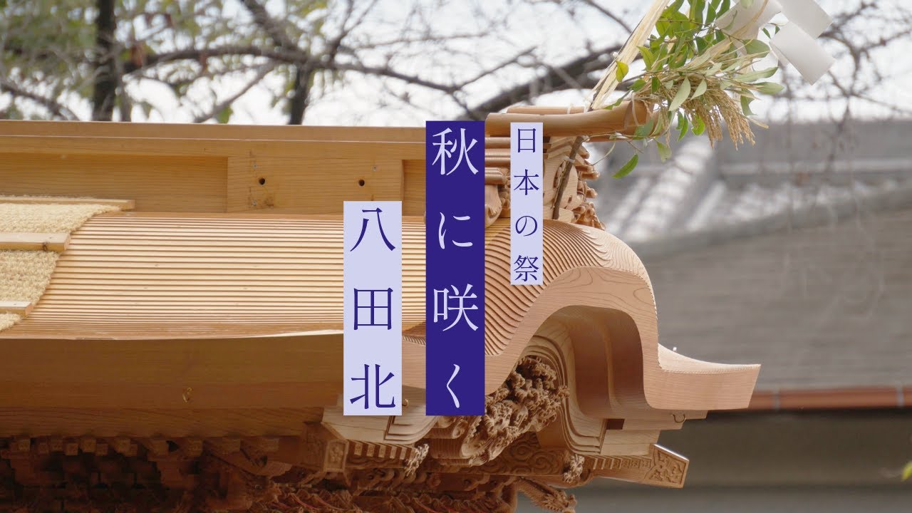 【日本の祭秋に咲く】2024八田北町「地車祭禮」完全密着！｜堺市八田荘地区八田北町×奏｜