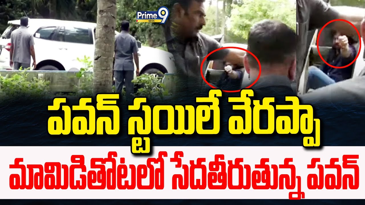 Exclusive Visuals:పవన్ స్టయిలే వేరప్పా..మామిడితోటలో సేదతీరుతున్న పవన్ | Janasena PawanKalyan