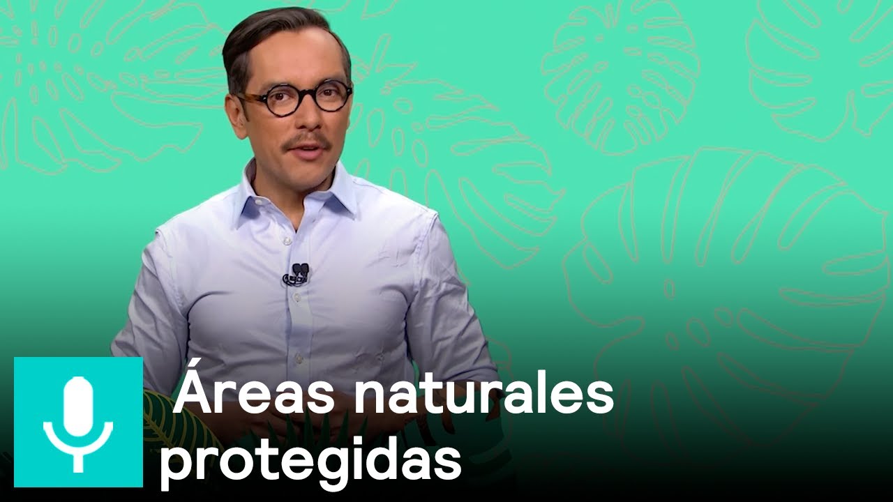 Áreas naturales protegidas - Despejando Dudas