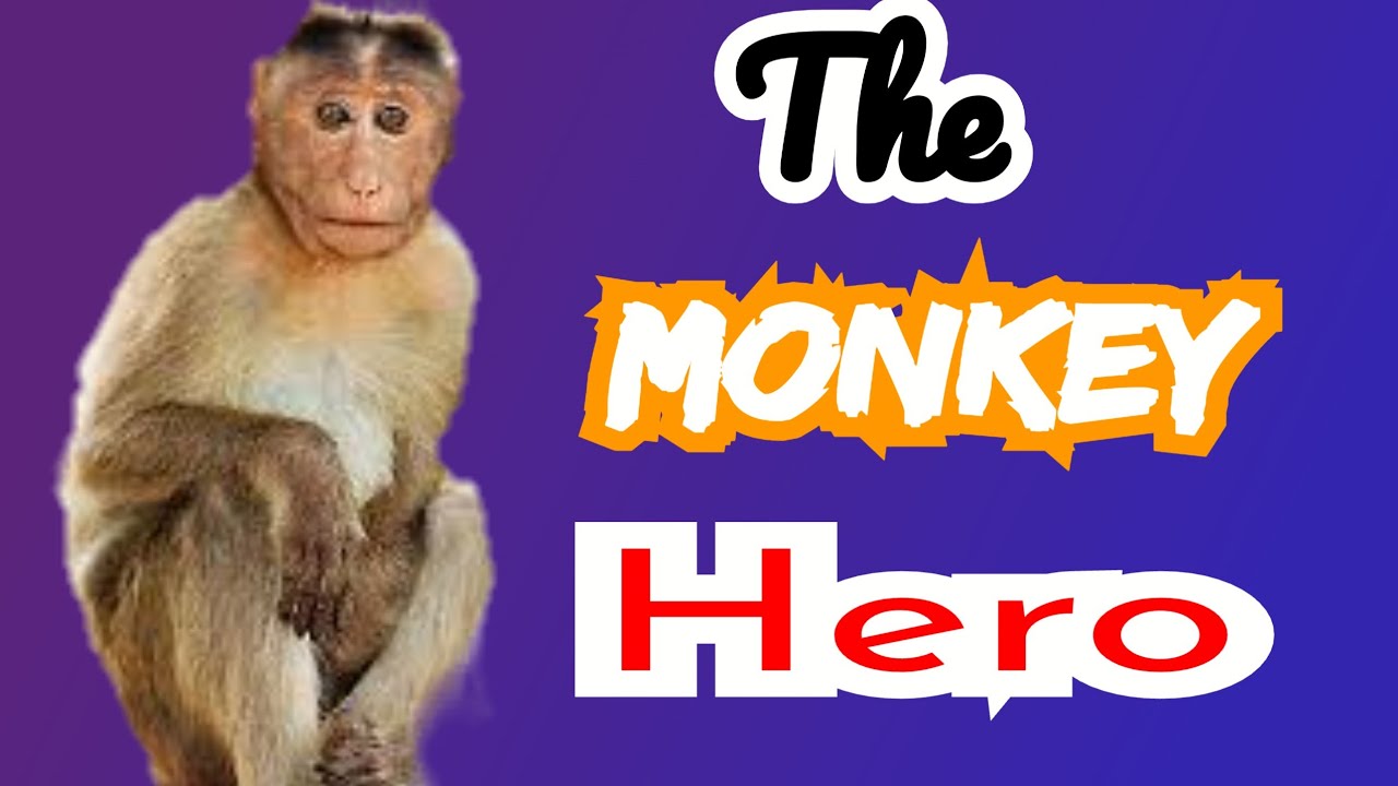 The story of the Monkey hero#percakapanbahasainggris