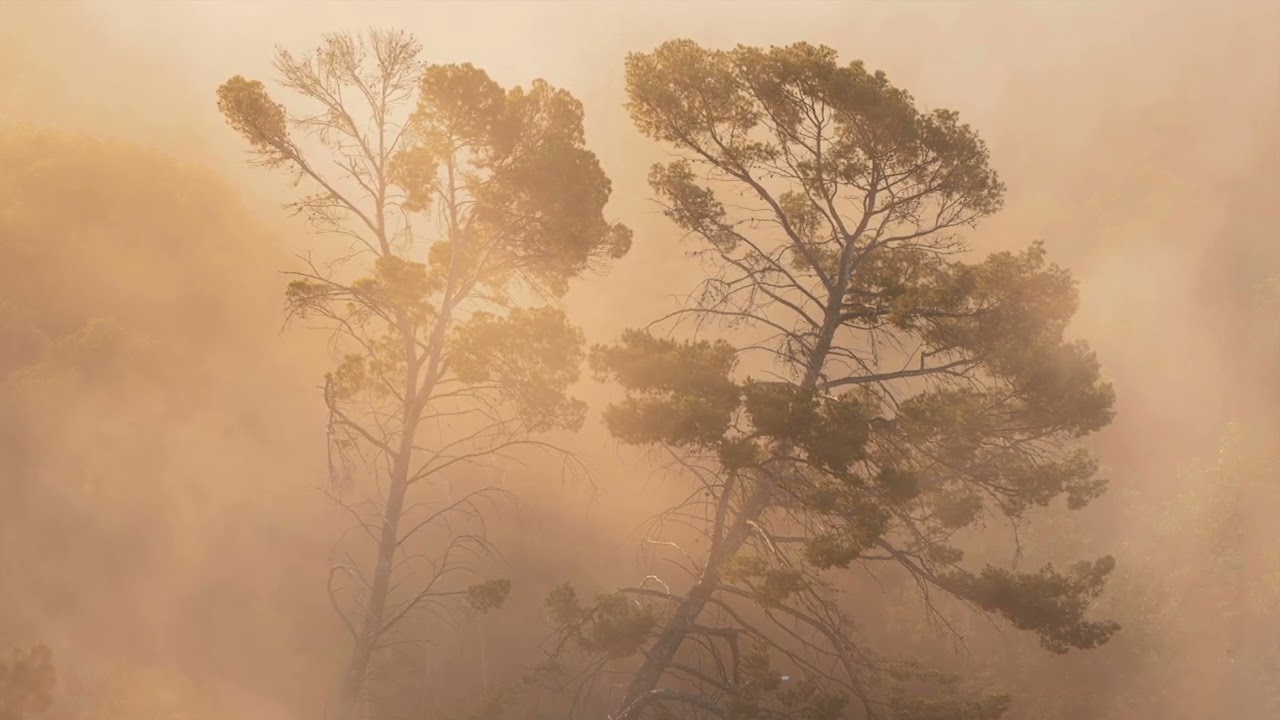 Piano Music for the soul. Chopin, Fauré, Rachmaninoff, Mendelssohn. 2 hours of uninterrupted beauty.